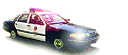 avto-policija